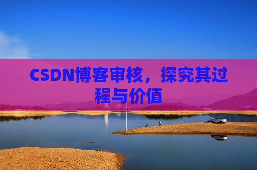 CSDN博客审核，探究其过程与价值